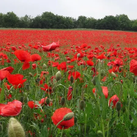 Сasa de vacaciones Le Petit Moulin *