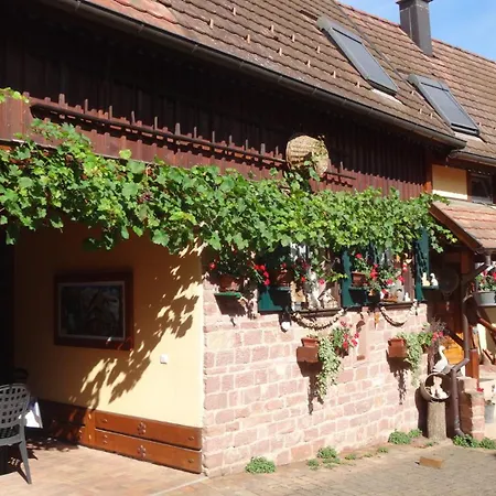 Le Petit Moulin Сasa de vacaciones Rosenwiller