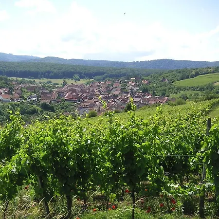 Le Petit Moulin Rosenwiller