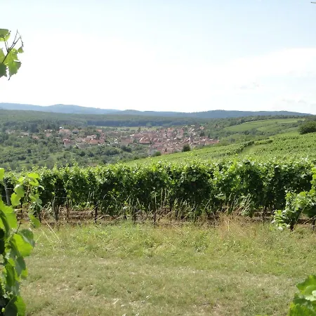 Le Petit Moulin *