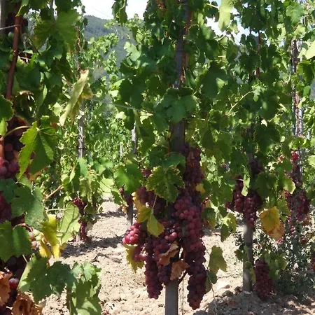 Le Petit Moulin Prázdninový dům