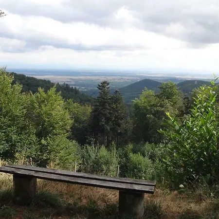 Le Petit Moulin Nyaraló *