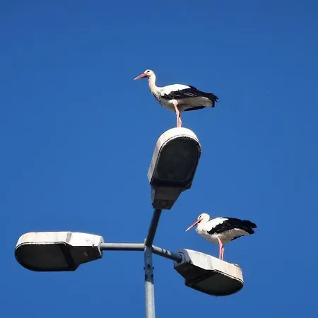 Le Petit Moulin Сasa de vacaciones