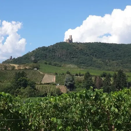 Le Petit Moulin * Rosenwiller