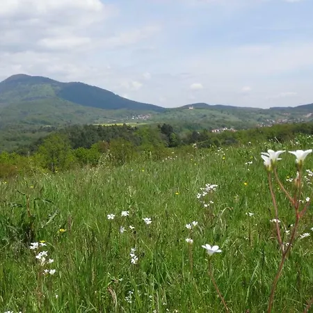 Prázdninový dům Le Petit Moulin *
