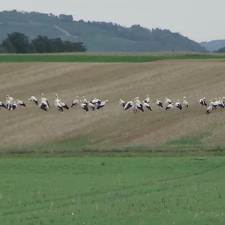 Сasa de vacaciones Le Petit Moulin