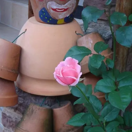 Le Petit Moulin *
