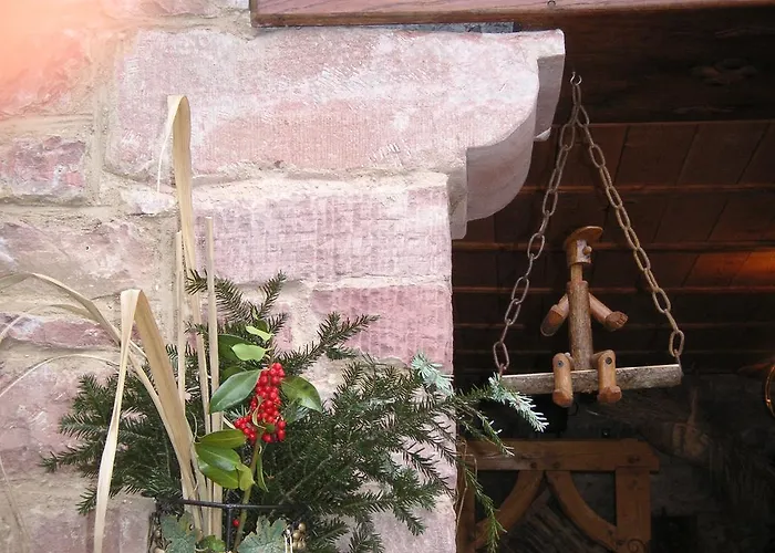 Tatil Evi Le Petit Moulin Rosenwiller