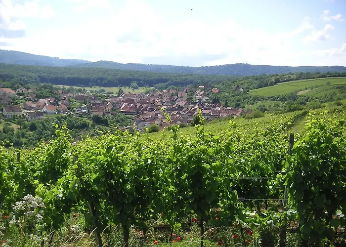 Le Petit Moulin Rosenwiller