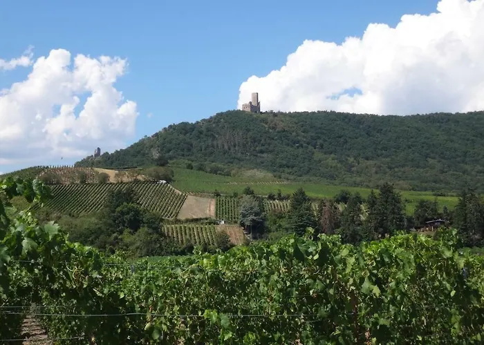 Le Petit Moulin * Rosenwiller